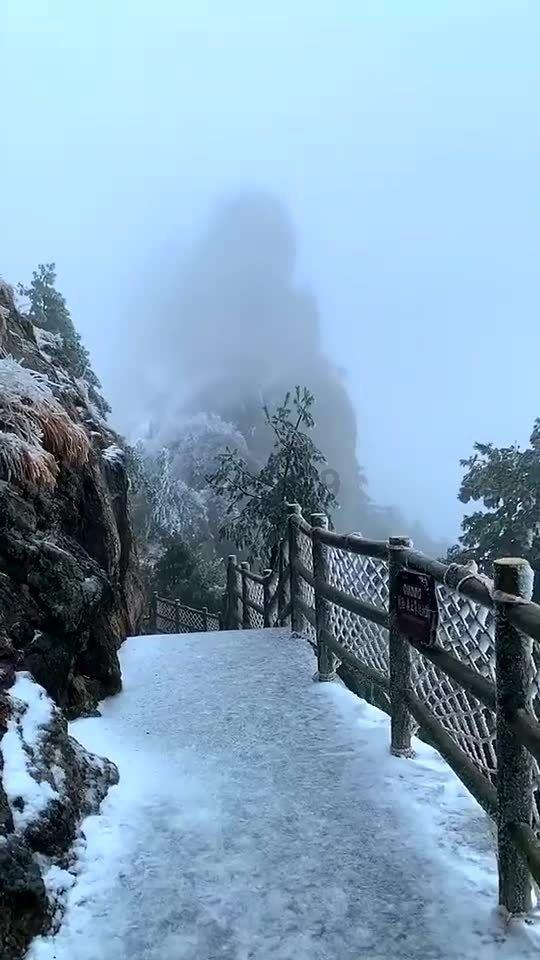 小熊救援